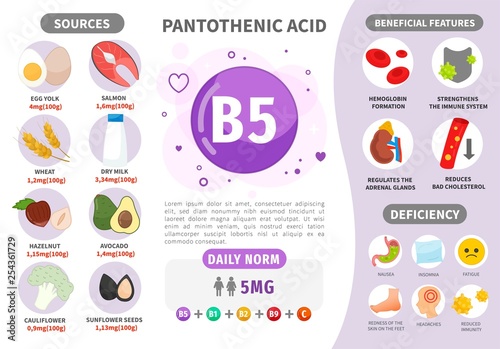 Infographics Vitamin B5. Products containing vitamin. Daily norm. Symptoms of deficiency. Vector medical poster. 