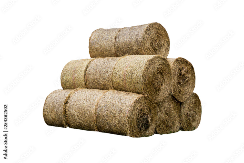 Stacked like a pyramid, bales of straw, tightened mesh . Feed and bedding for livestock on a dairy farm. General view. Isolated photo . Stacked like a pyramid, bales of straw, tightened mesh . Feed and bedding for livestock on a dairy farm. General view. Isolated photo .