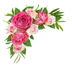 Beautiful pink and white rose flowers with eucalyptus leaves in a corner arrangement