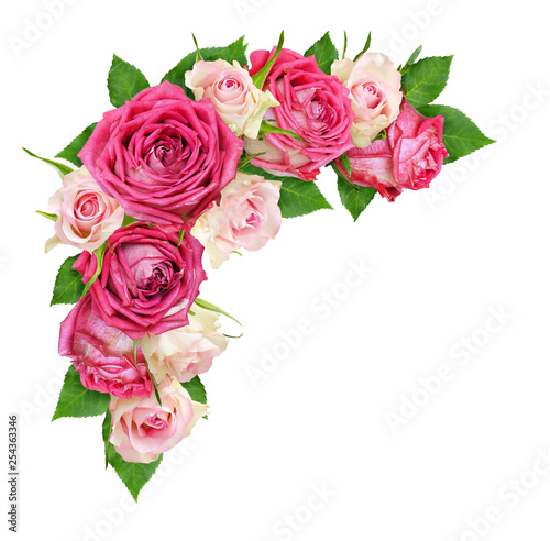 Beautiful pink and white ro...