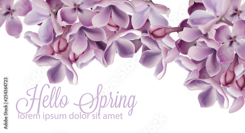Hello spring background with purple lilac flowers Vector watercolor. Romantic floral wedding or greeting card decoration. Women day, Valentines Day, sales and other events