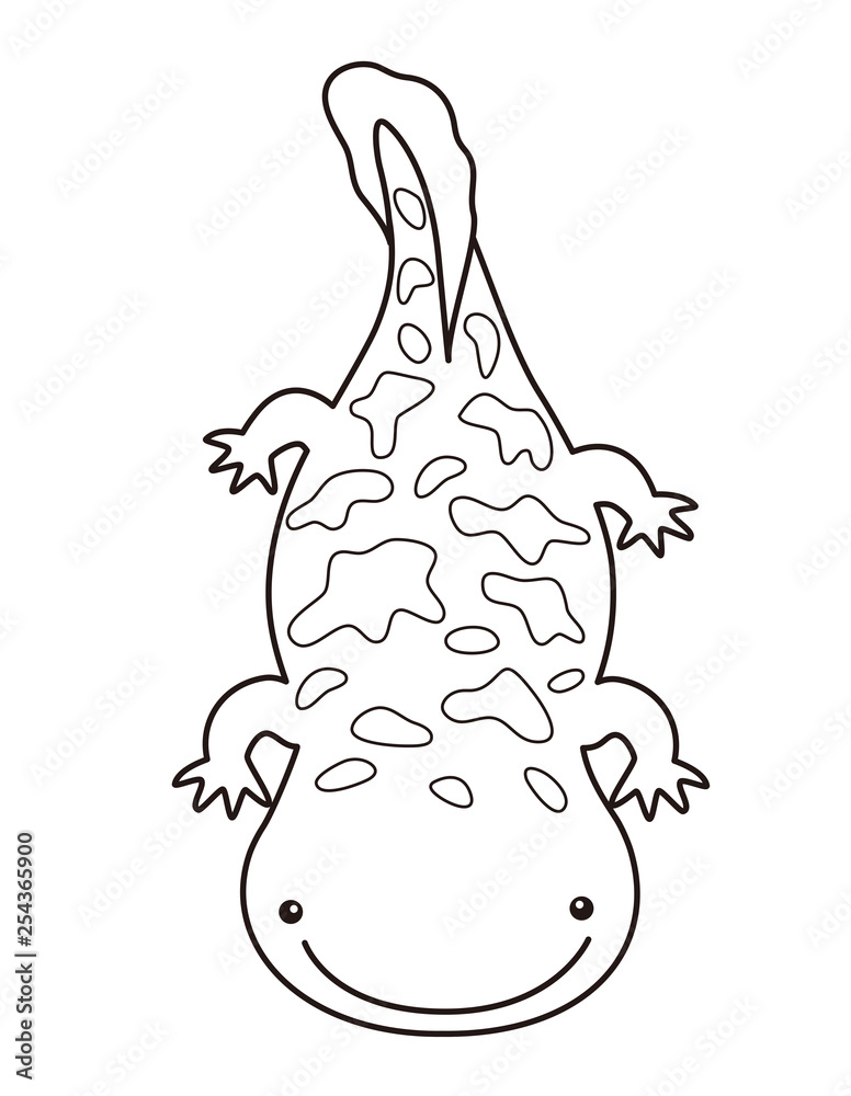 オオサンショウウオ ハンザキ Giant Salamander ぬりえ Stock イラスト Adobe Stock