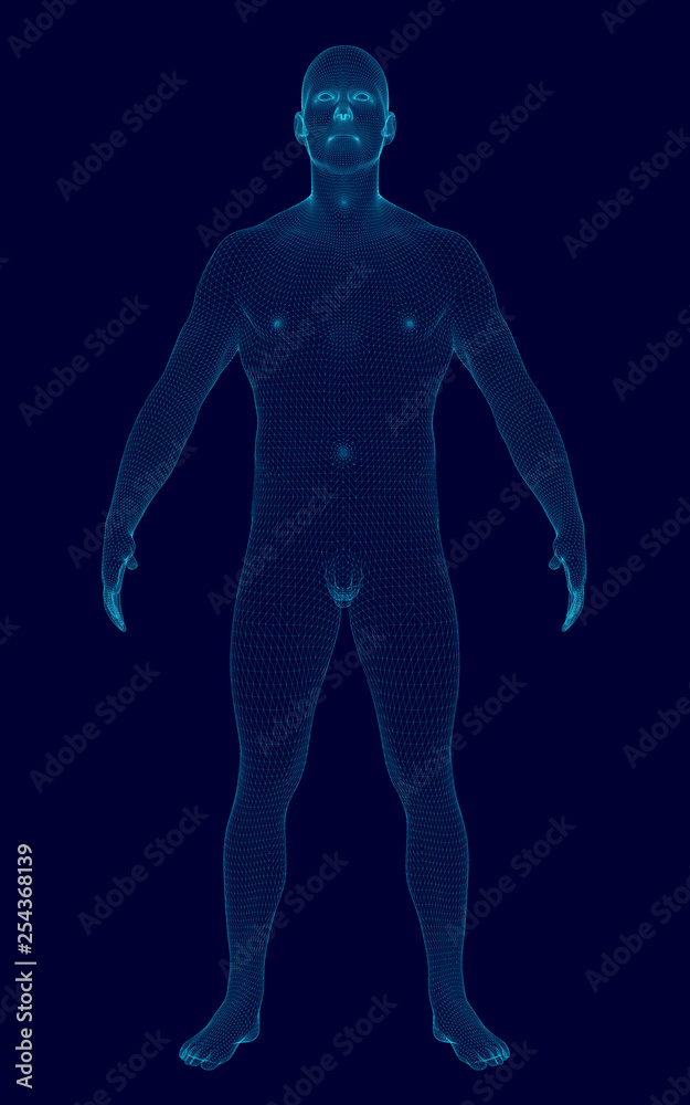 Wireframe model man of blue lines on a dark background. Front view. 3D. Polygonal man. Vector illustration Wireframe model man of blue lines on a dark background. Front view. 3D. Polygonal man. Vector illustration