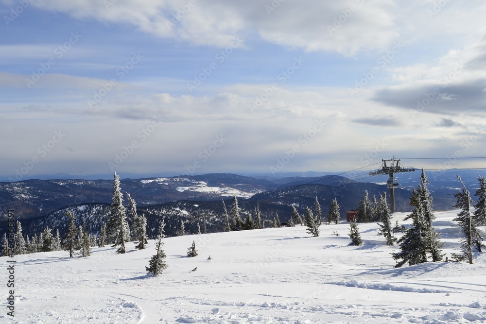 Winter in the mountain taiga area Winter in the mountain taiga area