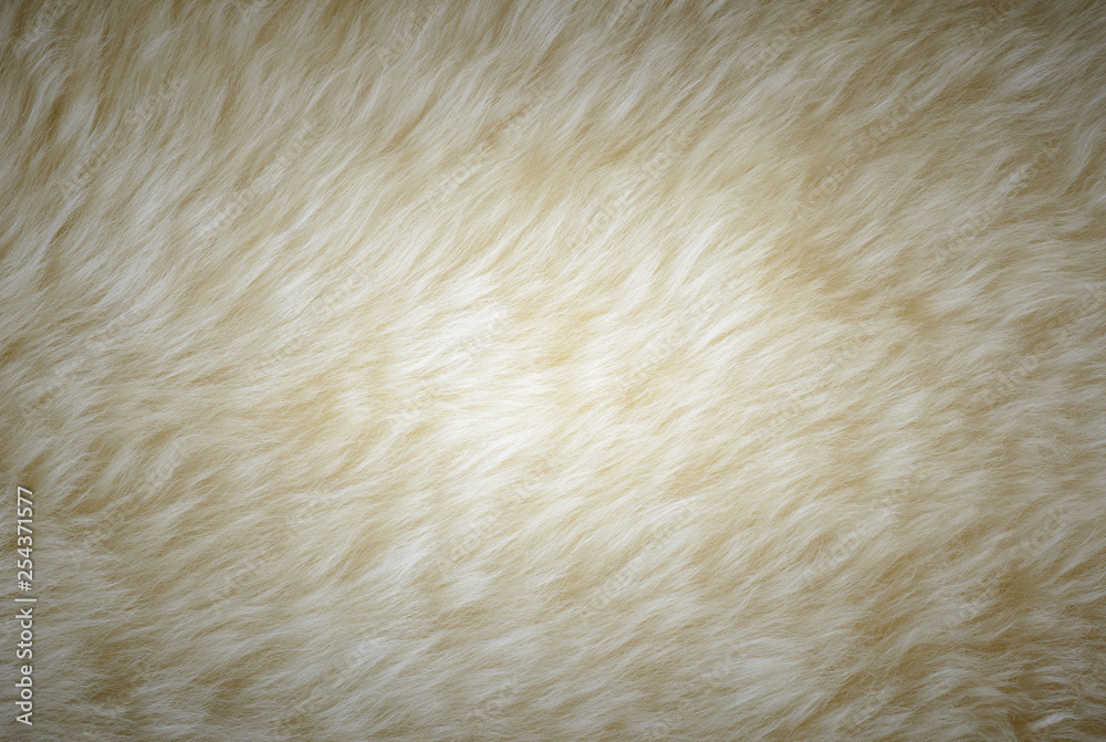 background and textured of real white cream wool sheep background and textured of real white cream wool sheep