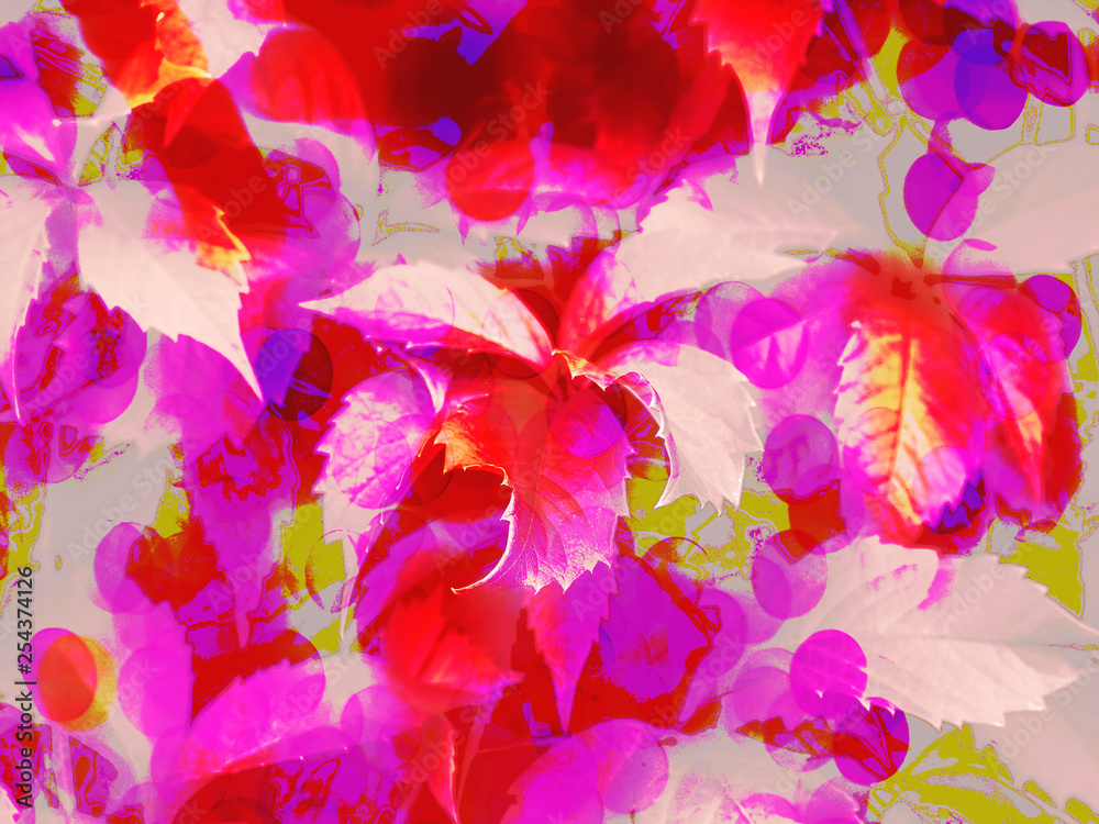 Abstract background with leaves, red pink bokeh