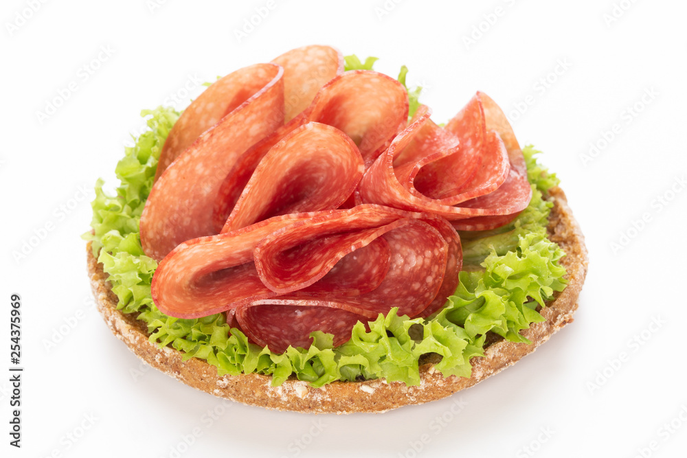 Sandwich with salami sausage on white background. Sandwich with salami sausage on white background.