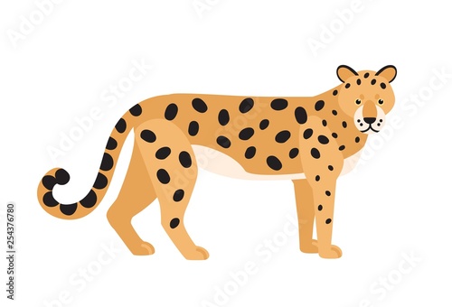 Jaguar isolated on white background. Stunning wild exotic carnivorous animal. Graceful large American wild cat or cute felid with spotted coat. Colorful vector illustration in flat cartoon style.