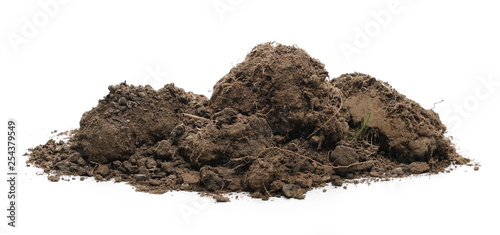 Dirt chunks, lumps isolated on white background