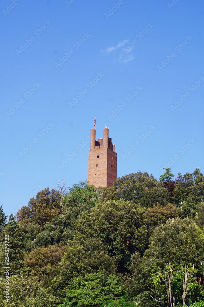 Fototapeta premium Fortress of Federico II, San Miniato, Tuscany, Italy