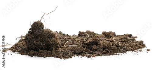 Dirt chunks, lumps isolated on white background