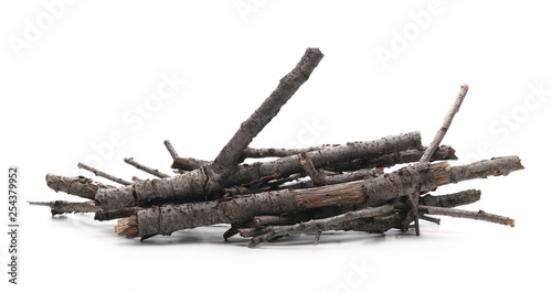 Dry branches, twigs for camp fire isolated on white background