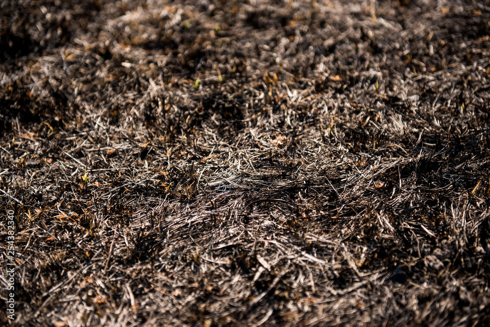 black dead burned field black dead burned field