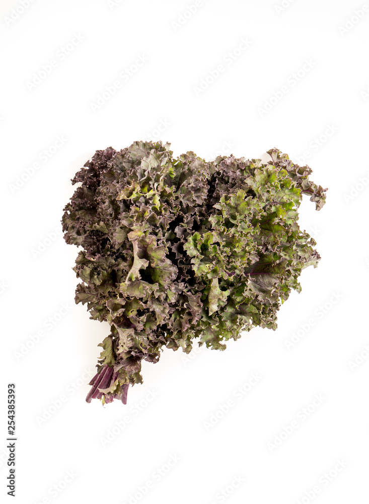 Bunch of Organic red green kale, with copyspace Bunch of Organic red green kale, with copyspace