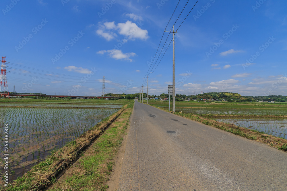 春の四街道市の田園風景