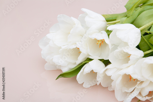 White tulips on pale pink background