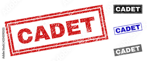 Grunge CADET rectangle stamp seals isolated on a white background. Rectangular seals with distress texture in red, blue, black and grey colors.