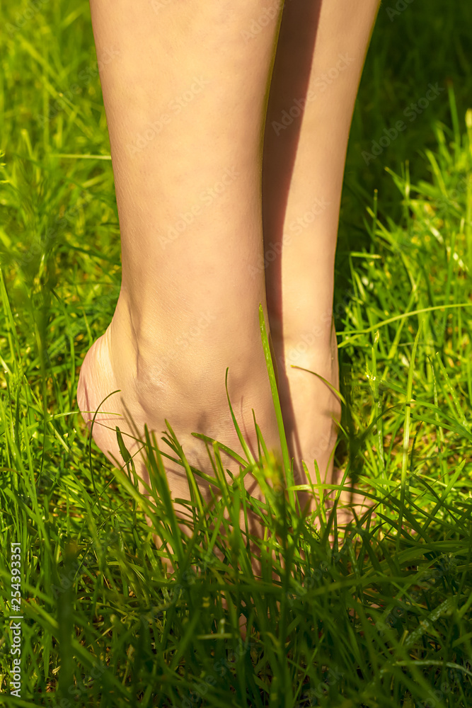 Female bare feet in green young grass of a lawn