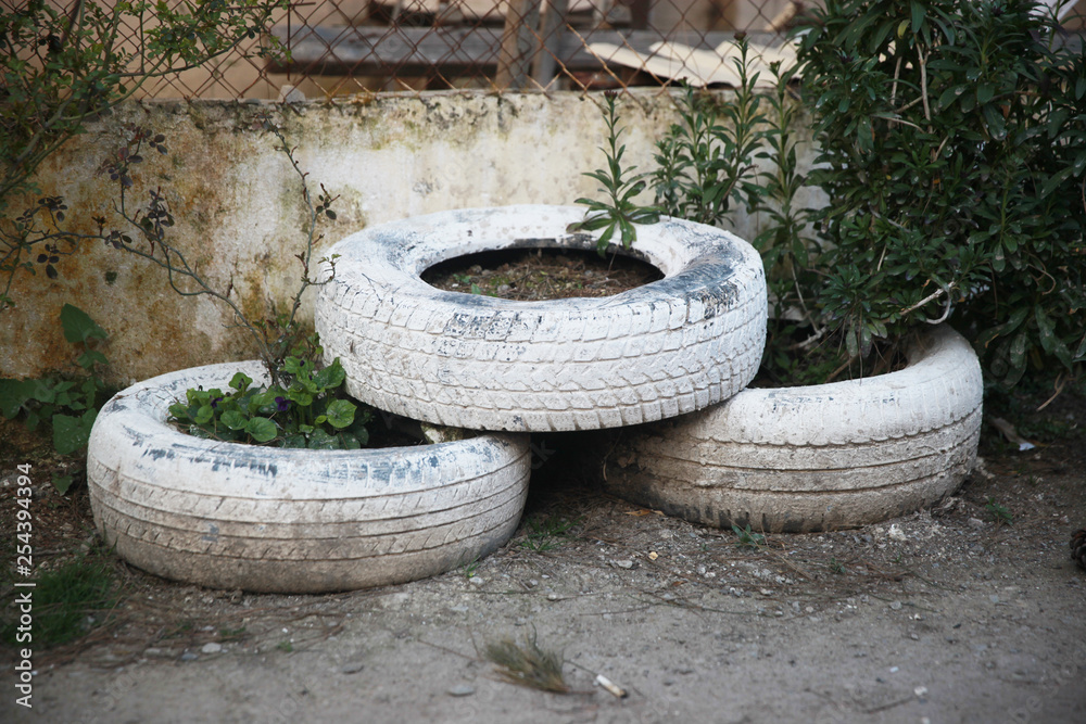 DIY idea to recycle of tire used with flowers or plant in old rubber painted pastel color in garden home, low angle view.