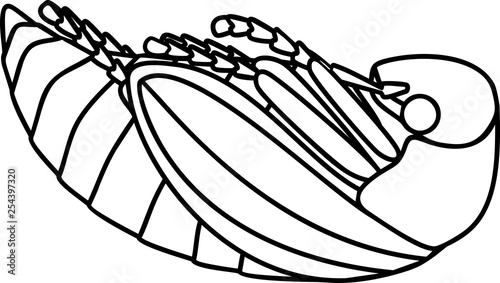 Coloring page of cockchafer or May bug isolated on white background