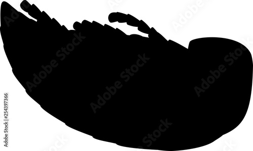 Black silhouette of pupa of cockchafer or May bug isolated on white background