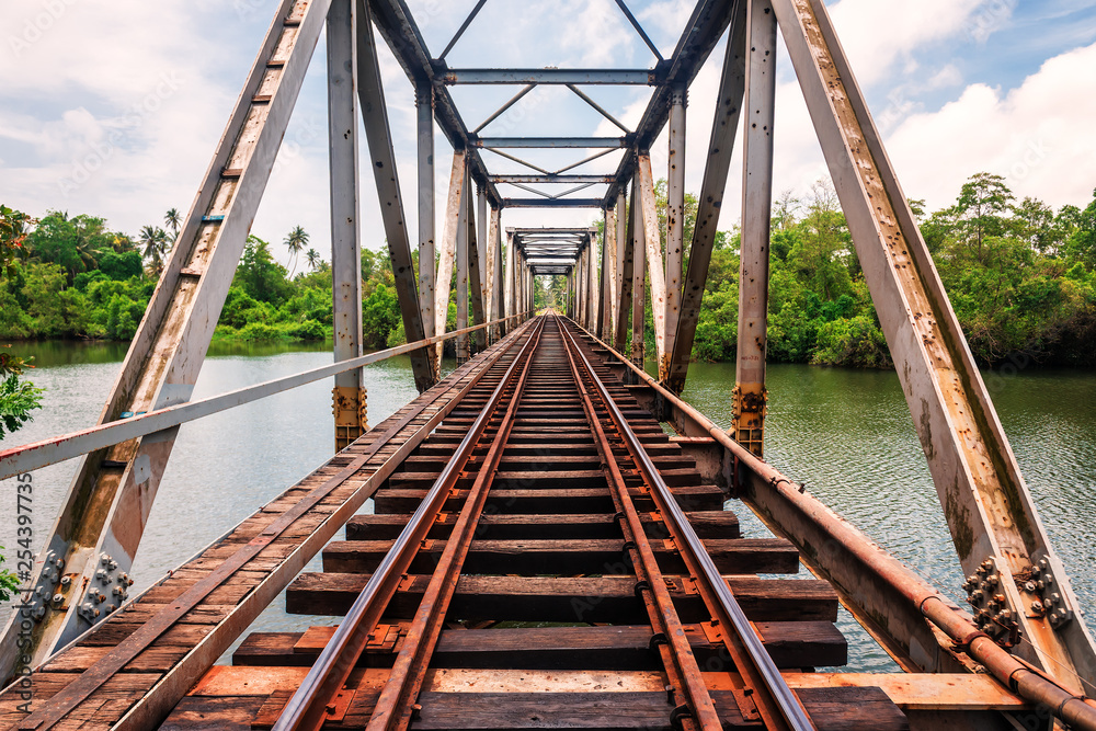 railway bridge in the jungle