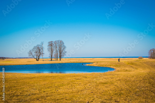 Small lake on the golden field