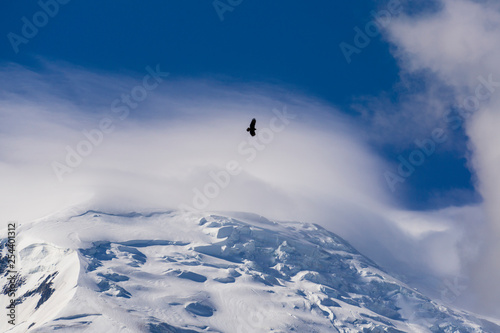 The great bird of prey over the Mont Blanc.