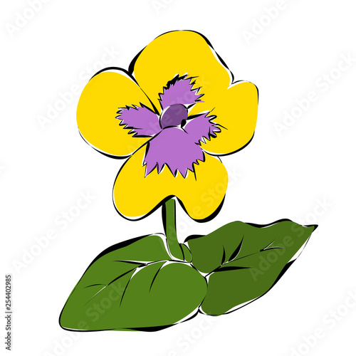  isolated, violet flower