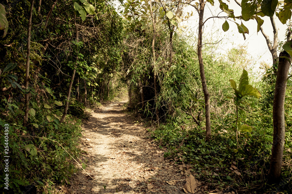 Obraz premium Vietnam