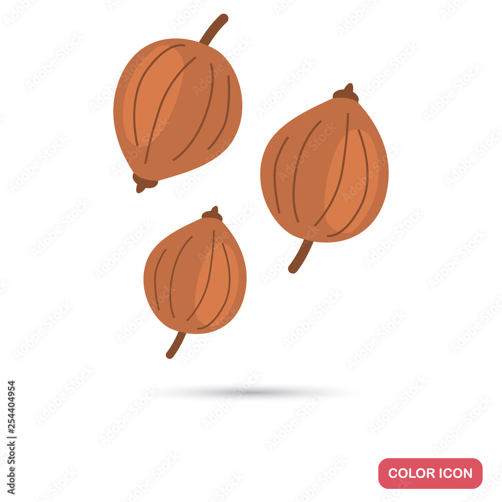 Coriander seeds color flat icon for web and mobile design