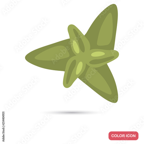 Oregano leaves color flat icon for web and mobile design
