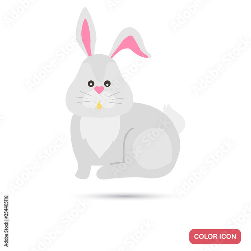 Easter rabir color flat icon for web and mobile design photo