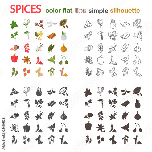 Big spices line, simple, silhouette and color flat icons for web and mobile design
