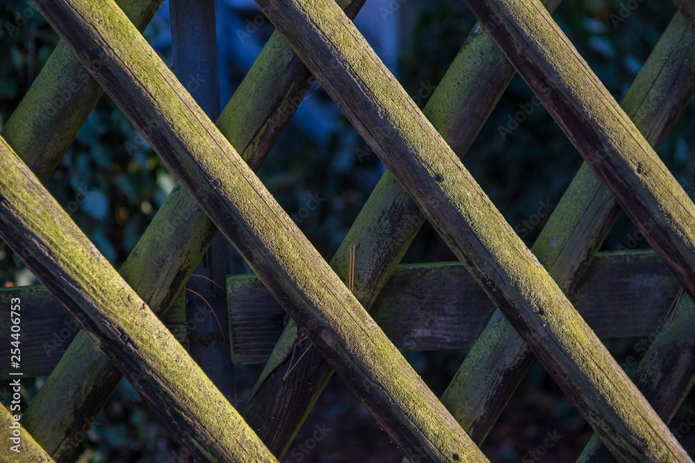 Wooden fence Wooden fence