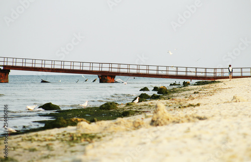 lonely girl on a deserted beach near the pier © Anna