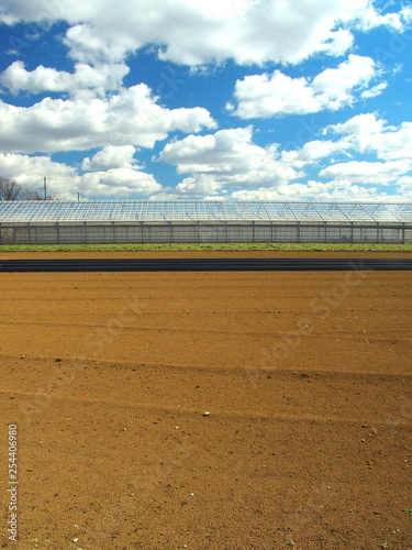 Wallpaper Mural 春の畑とビニールハウスと雲 Torontodigital.ca