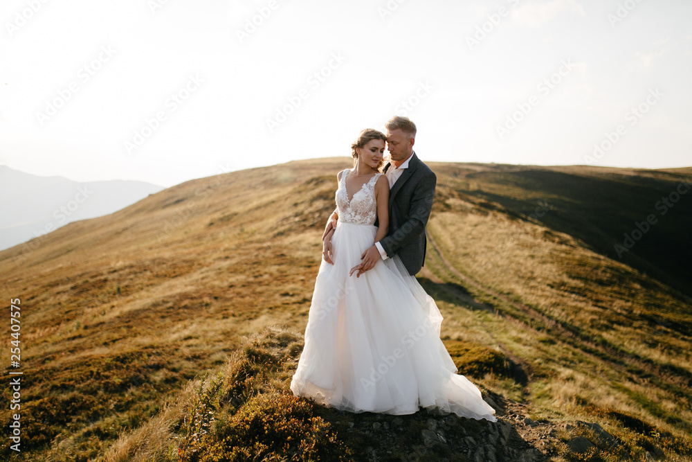 Beautiful wedding couple, bride and groom, in love on the background of mountains