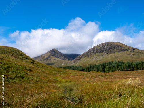 nature with mountains and forest on marshland terrain