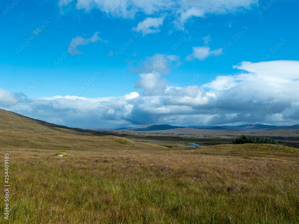 moor and graslands on a sunny day moor and graslands on a sunny day