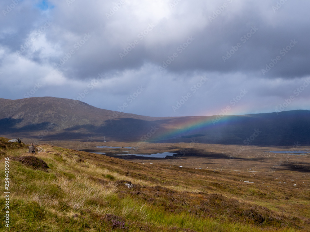 rainbow in a marshland landscape rainbow in a marshland landscape