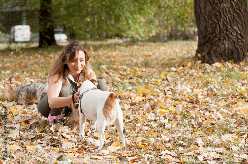 Beautiful young girl with her Yorkshire terrier dog puppy enjoying and playing in the autumn day in the park selective focus 