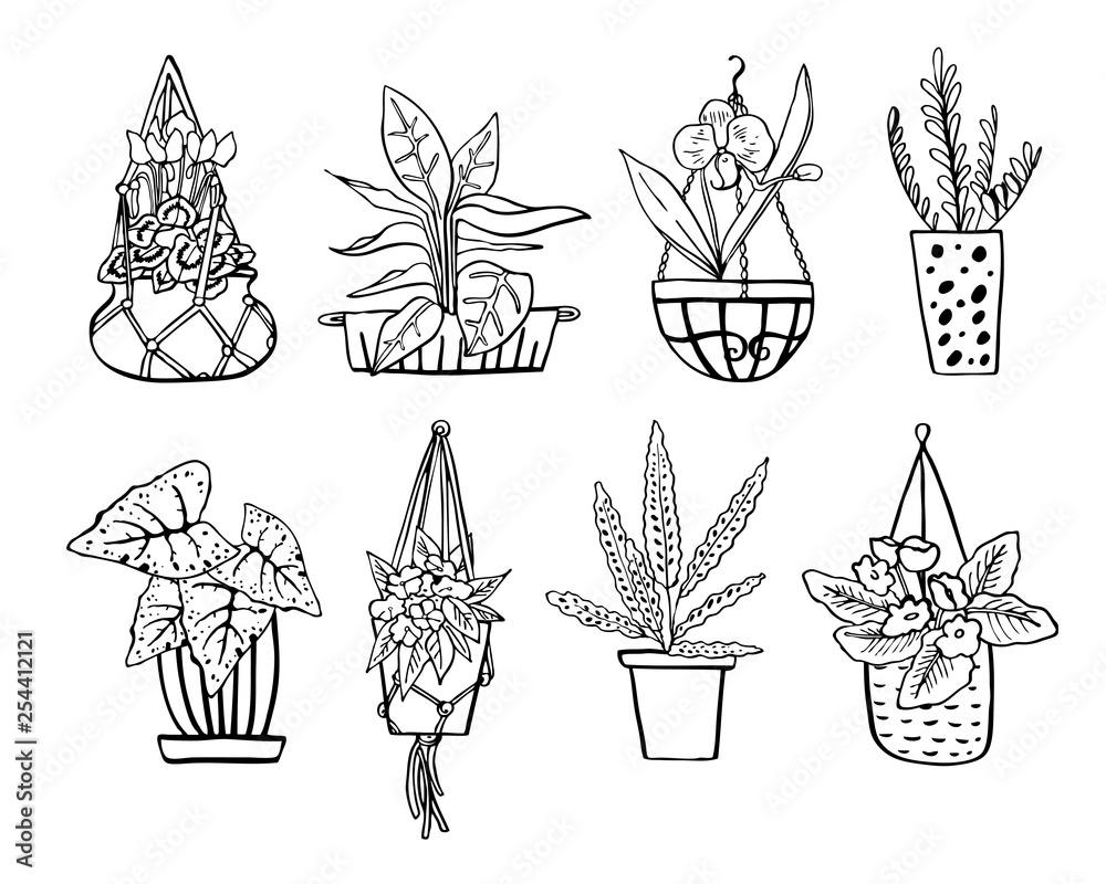 Different houseplants in hanging flowerpots and pots. Vector hand drawn outline black and white sketch illustration
