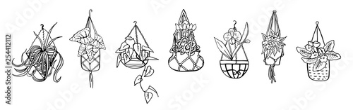 Houseplants in hanging flowerpots. Vector hand drawn outline black and white sketch illustration 