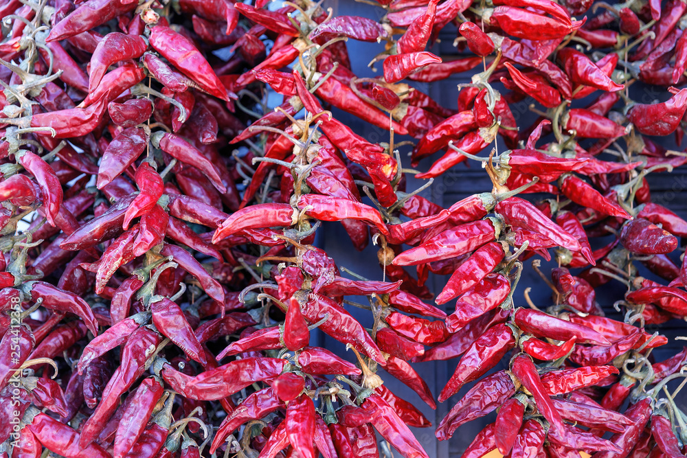 Fototapeta premium bunches of red hot peppers hanging on a string on the wall of a house in the hungarian old town of Santendere