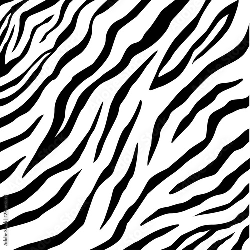 Vector zebra pattern for background
