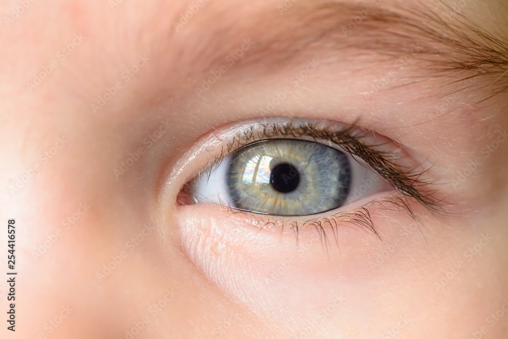 Obraz premium A photo of a gray eye and an eyebrow of a little girl close-up