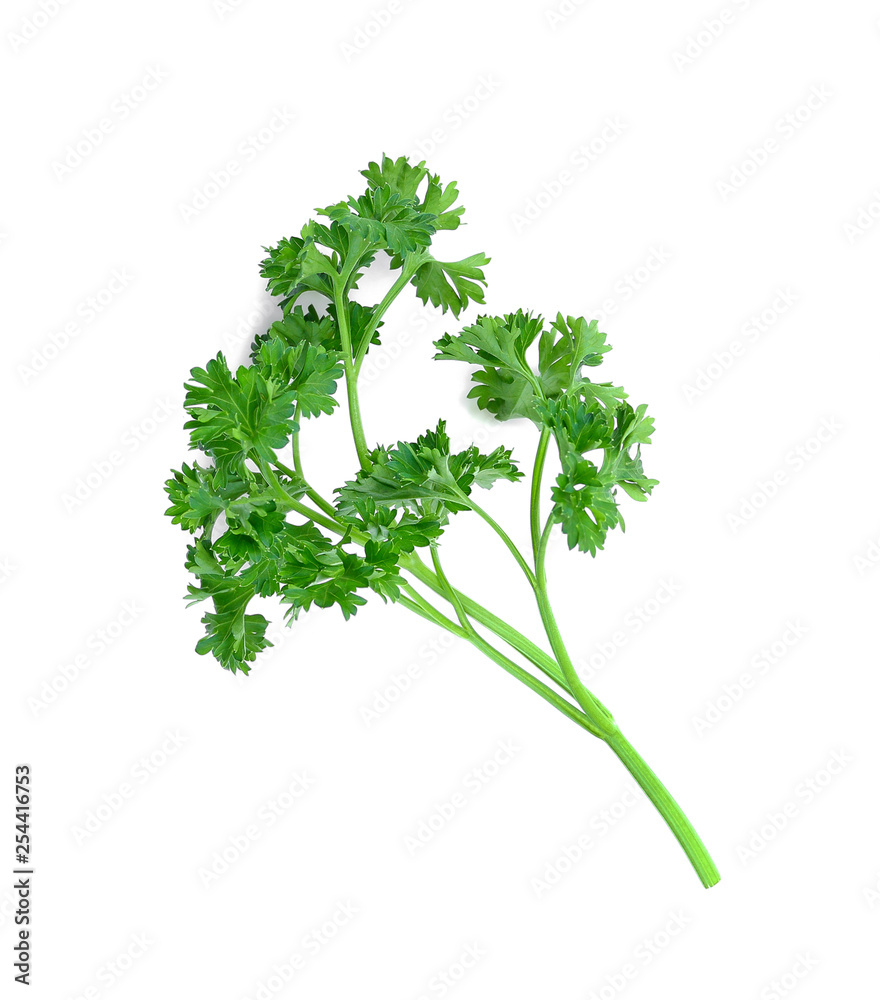 Parsley isolated on white background Parsley isolated on white background