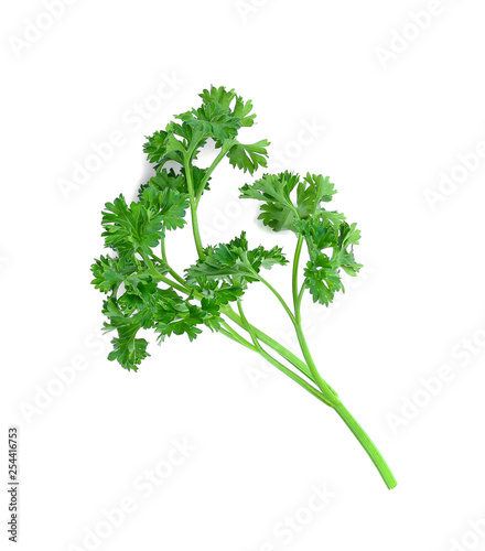 Parsley isolated on white background