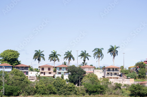 Six tall palm trees standing high over a residential center and a aquapark in the Espirito Santo State near the city of Vitoria in Brazil